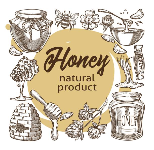 Honey natural product, bees and sugary liquid Natural and organic product, honey produced at farm, beekeeping and usage of liquid in culinary and cosmetics. Skincare and wellness, monochrome sketch outline. Vector in flat style illustration hhh stock illustrations