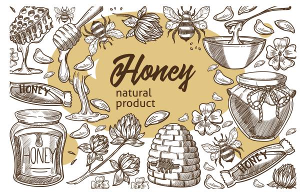 Honey natural products, organic ingredient cooking Organic and natural products, honey ingredients for cooking and cosmetics industry. Beekeeping and bio production at farm. Jar with sweet syrup and flowers blossom sketch. Vector in flat style hhh stock illustrations