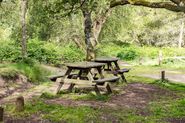 istock Countryside benches Surrey England 2161095712