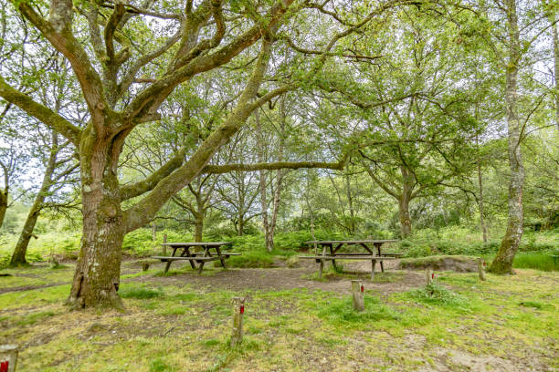 istock Countryside benches Surrey England 2161095773