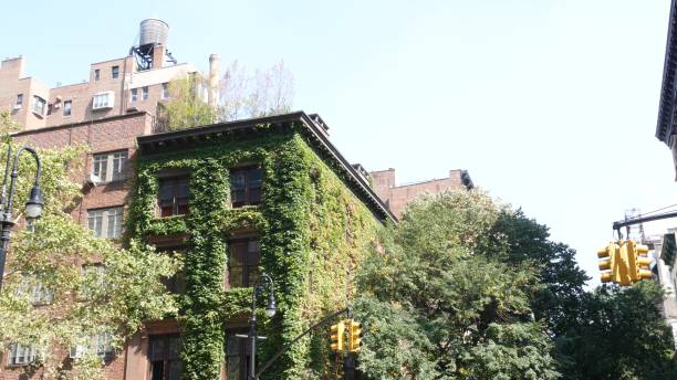 New York City building architecture. Residential house exterior. Real estate in USA. Brick facade. New York City classic building corner architecture. Urban residential house exterior. Real estate property in USA. Typical brick facade, Irving Pl, Manhattan Midtown. Rooftop water tower. Green wall. grapevine texas city stock pictures, royalty-free photos & images