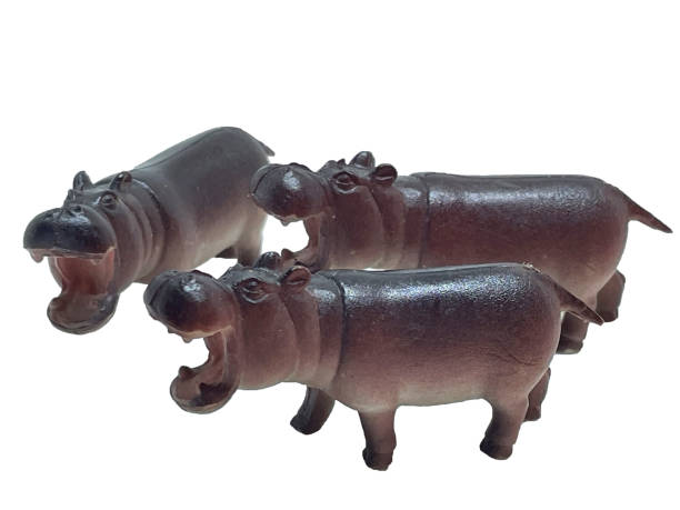 istock Three toy hippos with open mouths on a white background 2161106538