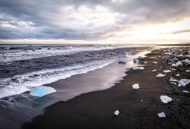 A serene view of Diamond Beach in Iceland at sunrise, showcasing black sand and scattered ice chunks along the shoreline with waves gently lapping the shore under a cloudy sky.