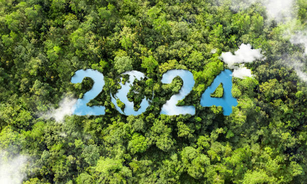 istock New goals, plans and vision for 2024 Sustainable Environmental Development Goals Green business ESG Co2 SDGs and NetZero concept. 2161111026
