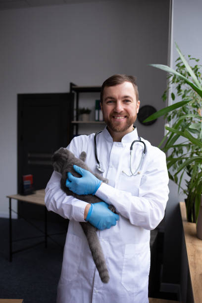 istock Young veterinarian holding cat in clinic 2161114306