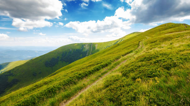 istock carpathian mountain landscape with stoj peak 2161121042