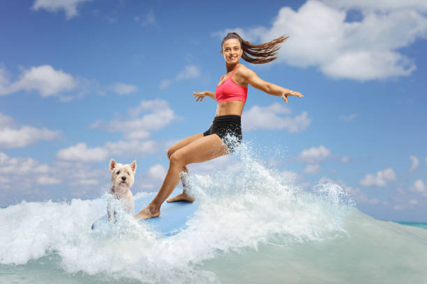 istock Female surfer with a dog riding a surfboard on a wave 2161121255