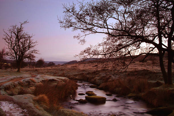 Winter dawn and silhouette trees  at the stream in Padley Gorge in Derbyshire