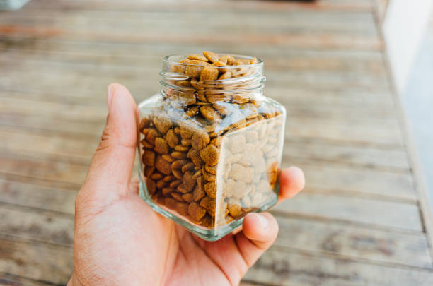 istock dog food 2161128661