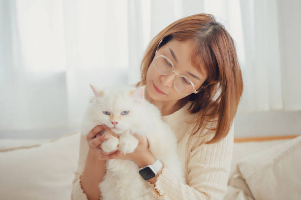 istock girl and Persian cat 2161131048
