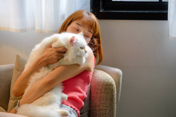 istock girl and Persian cat 2161131079