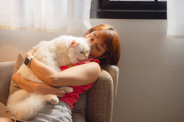 istock girl and Persian cat 2161131092
