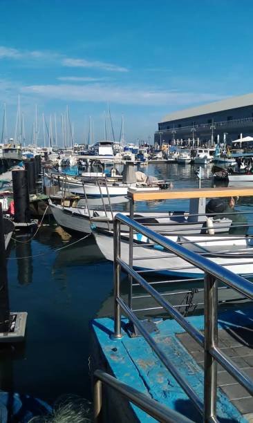 istock Fishing Vessel, Yatchs , Boats docked on bayside. 2161131142