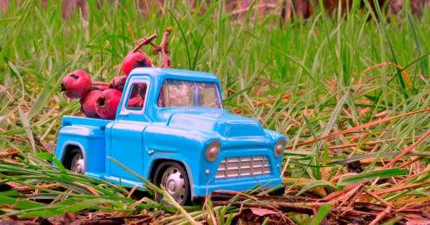 Blue toy car with red plants in the grass, selective focus.