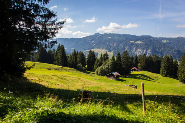 istock Mountain view near Oberstdorf in the German Alps 2161134616