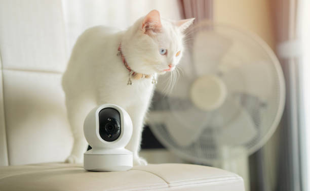 istock Mini white CCTV camera setting in the livingroom with white cat. Selective focus. 2161135190