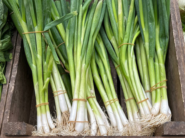 istock Fresh spring onions on a market stall 2161146254