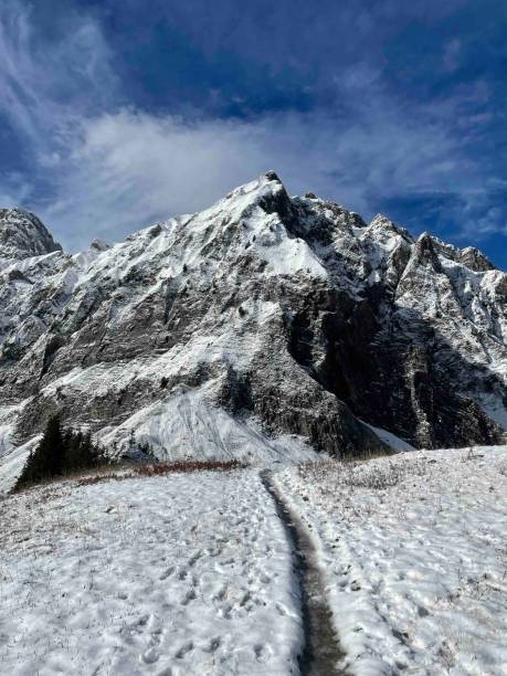 istock Mountain in the snow 2161147851