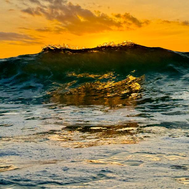 istock Sunrise over a tropical ocean wave 2161148497