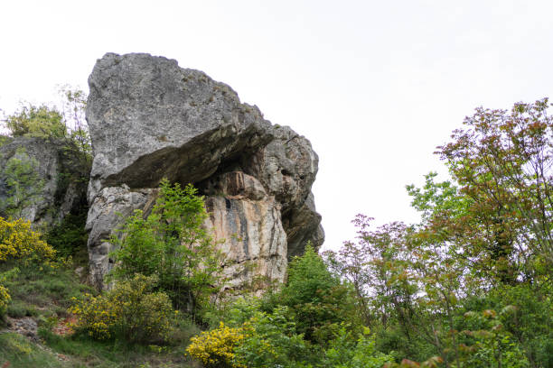 istock Beautiful nature on the mountain 2161149976