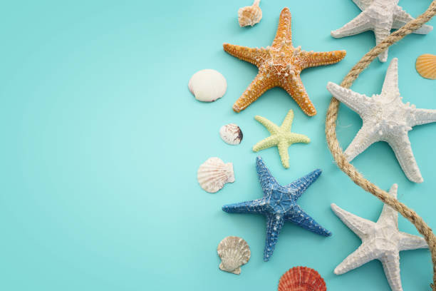 istock nautical concept with starfish and seashells over blue background 2161152497