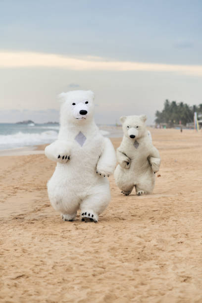 istock Animators dressed as polar bears entertain people on the beach 2161156899