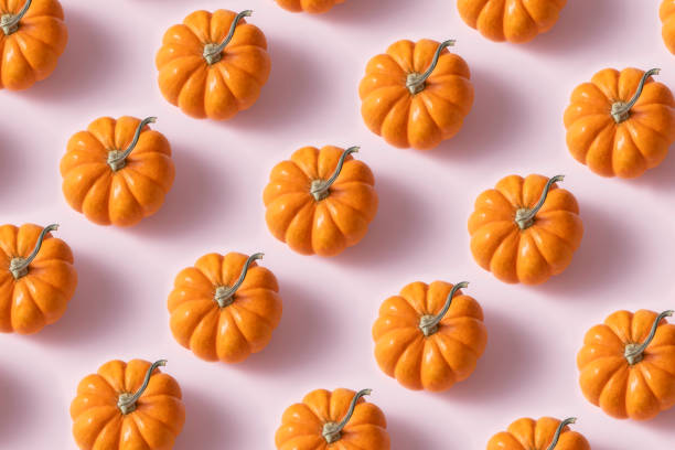 Flying orange pumpkins isolated on white backdrop. Cutout. Pattern for print. Halloween and thanksgiving day decorations.