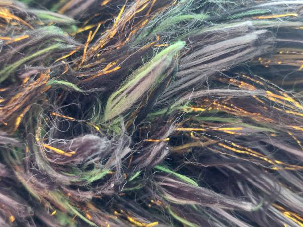 istock Close up of feather dusters 2161158968