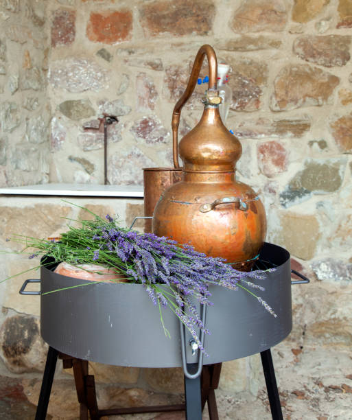 Alembic distillation apparatus with lavender essential oil