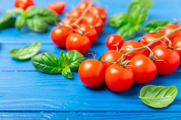 Fresh cherry tomatoes and fresh green basil on a textured background. Tomato sauce. Vegan. Ingredients for salad. Organic food. Place for text. Copy space.