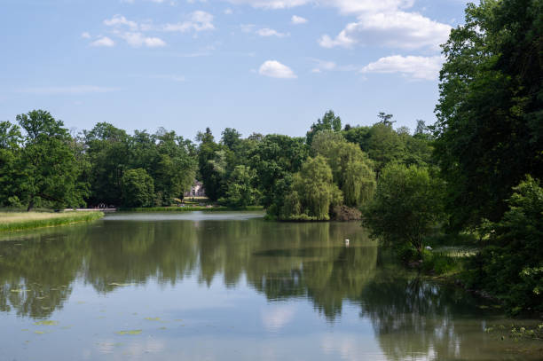 istock A lake in green nature 2161164968