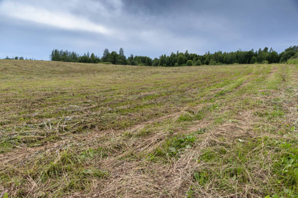 istock Mown field is under a cloudy sky 2161166492