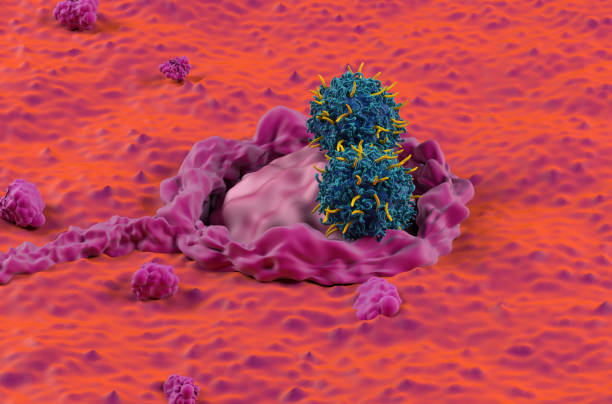 CAR T cell therapy in Colon, Colorectal cancer (CRC) - closeup view 3d illustration stock photo