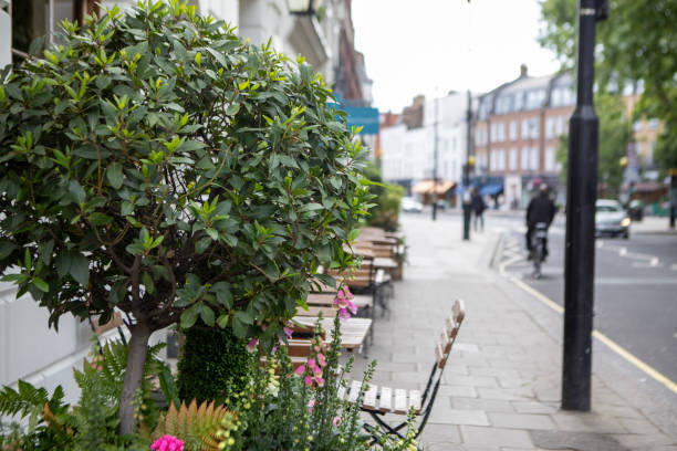 istock Potted plant and cafe chairs on a London pavement 2161167802