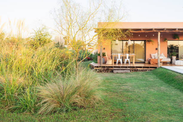 istock Wild country house garden. 2161168423