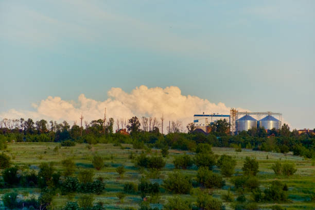 A white cloud on the horizon over a grain elevator and a country meadow