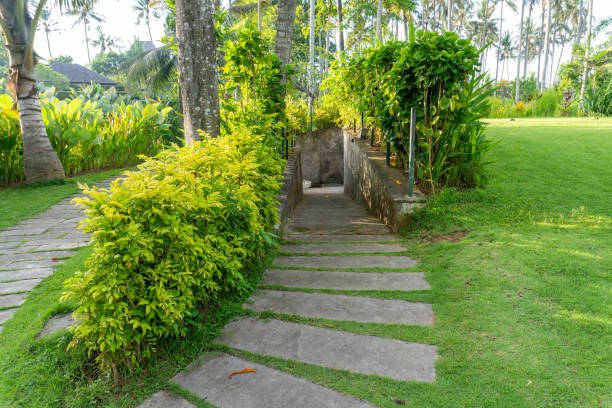 Winding garden path leading through lush greenery towards a secluded basement entrance, blending natural beauty with mystery