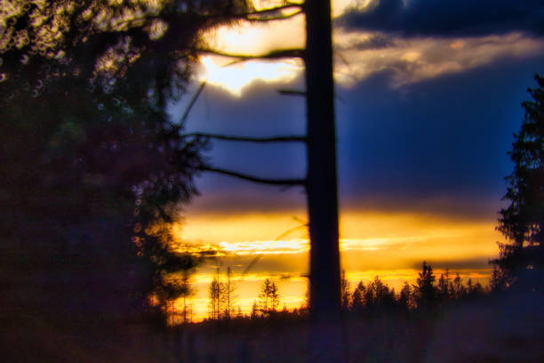 on the Rennsteig in the Thuringian Forest