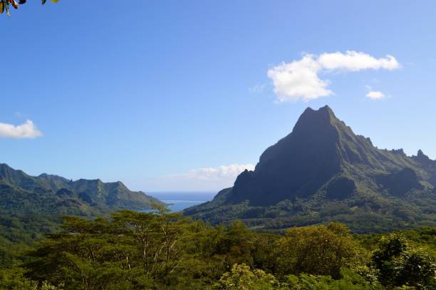istock Moorea in French Polynesia 2161183041