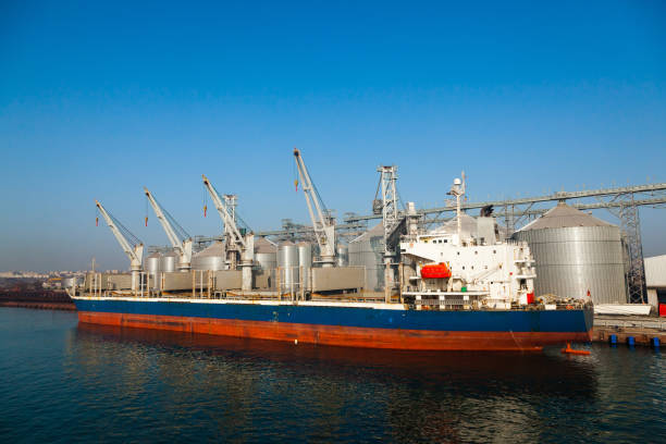 Cargo transport ship is moored at grain storage terminal with storage tanks and loading lines in the seaport of Constanta Romania.