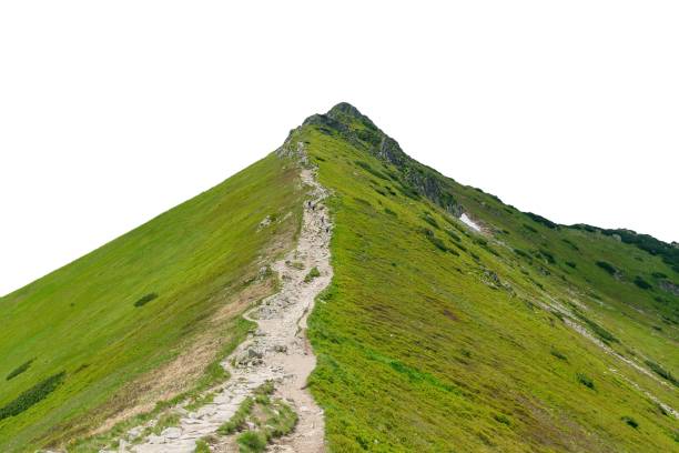 Beautiful mountain landscape with a mountain path. Hiking in the mountains in summer. Natural background. Tatra Mountains, Poland.