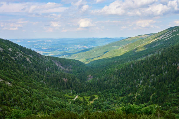 Beautiful panoramic view of green mountain valley with rolling hills and dense forests under cloudy sky. Travel tourism and hiking concept