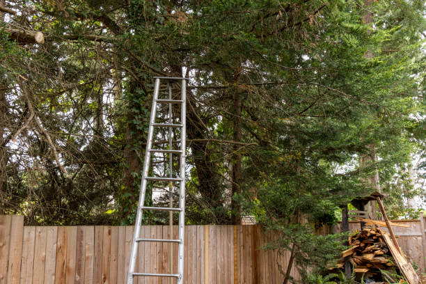 istock Ladder leaning against fence and trees 2161194139