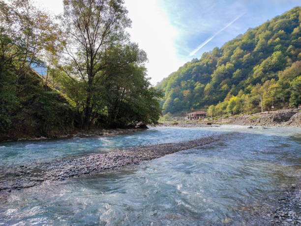 The good view of stream water in tree valley.