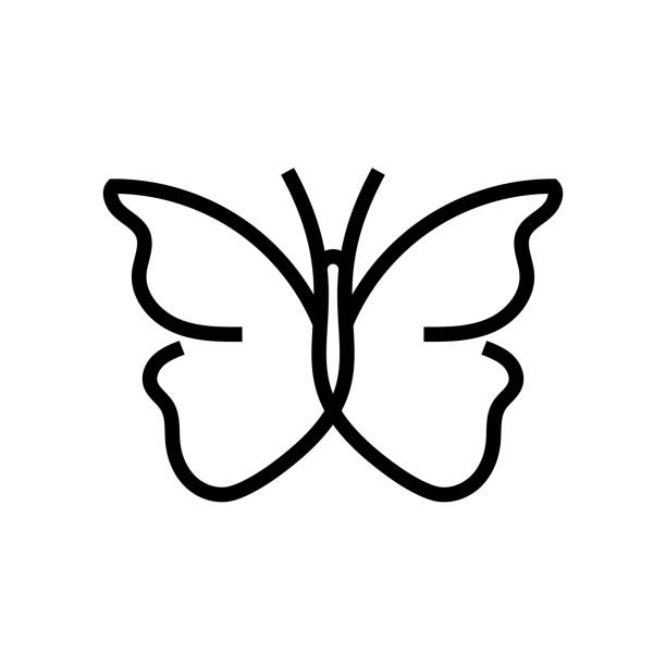 illustrations, cliparts, dessins animés et icônes de icône de ligne papillon. - symbole de papillon