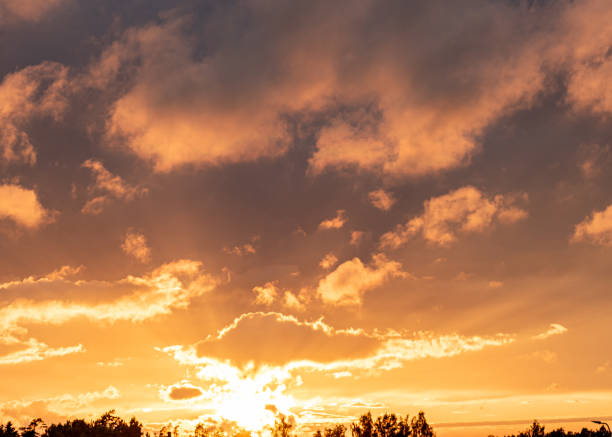 gorgeous sunset, sunrise sky, orange summer sunset, summer