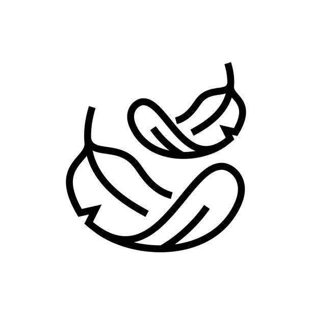 Feather filled line icon.