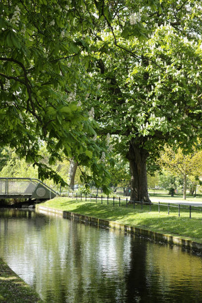 Clissold Park is an open space in Stoke Newington, in the London Borough of Hackney.The stretch of water which wends its way around the Clissold House was part of the New River, an artificial waterway that supplied the capital with clean water from Hertfordshire.