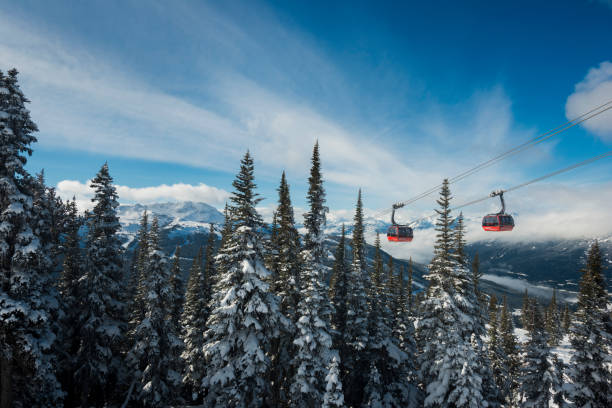 istock Gondola on cables above forest and mountains 2161203686