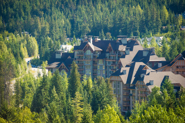 istock Ski resort and forest in summer 2161203704